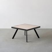 THE LOW TABLE / 砂岩 ブランコドマール × ラバーウッド × Black Steel