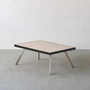 THE LOW TABLE / 砂岩 ブランコドマール × ラバーウッド × Stainless