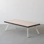 THE LOW TABLE / 砂岩 ブランコドマール × ラバーウッド × White Steel