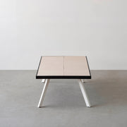 THE LOW TABLE / 砂岩 ブランコドマール × ラバーウッド × White Steel