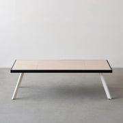 THE LOW TABLE / 砂岩 ブランコドマール × ラバーウッド × White Steel