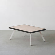 THE LOW TABLE / 砂岩 ブランコドマール × ラバーウッド × White Steel