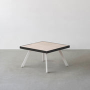 THE LOW TABLE / 砂岩 ブランコドマール × ラバーウッド × White Steel