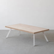 THE LOW TABLE / 大理石 ココナッツベージュ × ラバーウッド × White Steel