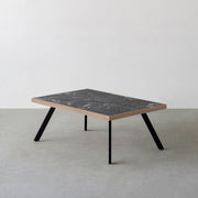 THE LOW TABLE / 大理石 黒白根 × ラバーウッド × Black Steel