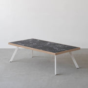 THE LOW TABLE / 大理石 黒白根 × ラバーウッド × White Steel