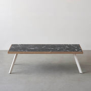 THE LOW TABLE / 大理石 黒白根 × ラバーウッド × White Steel
