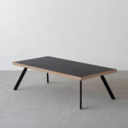 THE LOW TABLE / インド産 黒みかげ石 × ラバーウッド × Black Steel