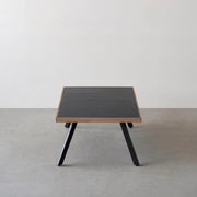 THE LOW TABLE / インド産 黒みかげ石 × ラバーウッド × Black Steel