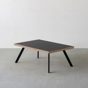 THE LOW TABLE / インド産 黒みかげ石 × ラバーウッド × Black Steel