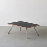 THE LOW TABLE / インド産 黒みかげ石 × ラバーウッド × Stainless