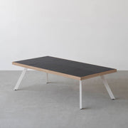 THE LOW TABLE / インド産 黒みかげ石 × ラバーウッド × White Steel