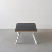THE LOW TABLE / インド産 黒みかげ石 × ラバーウッド × White Steel