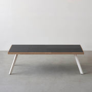 THE LOW TABLE / インド産 黒みかげ石 × ラバーウッド × White Steel