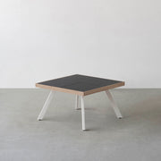 THE LOW TABLE / インド産 黒みかげ石 × ラバーウッド × White Steel