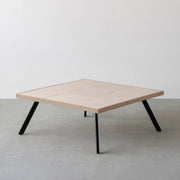 THE LOW TABLE / 砂岩 ブランコドマール × ラバーウッド × Black Steel