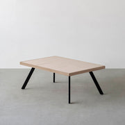 THE LOW TABLE / 砂岩 ブランコドマール × ラバーウッド × Black Steel