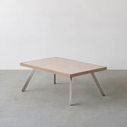 THE LOW TABLE / 砂岩 ブランコドマール × ラバーウッド × Stainless
