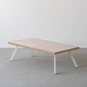 THE LOW TABLE / 砂岩 ブランコドマール × ラバーウッド × White Steel