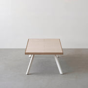 THE LOW TABLE / 砂岩 ブランコドマール × ラバーウッド × White Steel