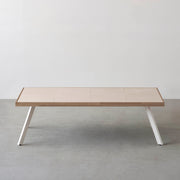 THE LOW TABLE / 砂岩 ブランコドマール × ラバーウッド × White Steel