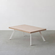 THE LOW TABLE / 砂岩 ブランコドマール × ラバーウッド × White Steel