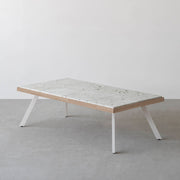 THE LOW TABLE / 大谷石 × ラバーウッド × White Steel