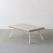 THE LOW TABLE / 大谷石 × ラバーウッド × White Steel