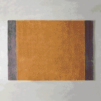 THE RUG crafted with MIYOSHI RUG / TWO COLOR × RECTANGLE 全30色