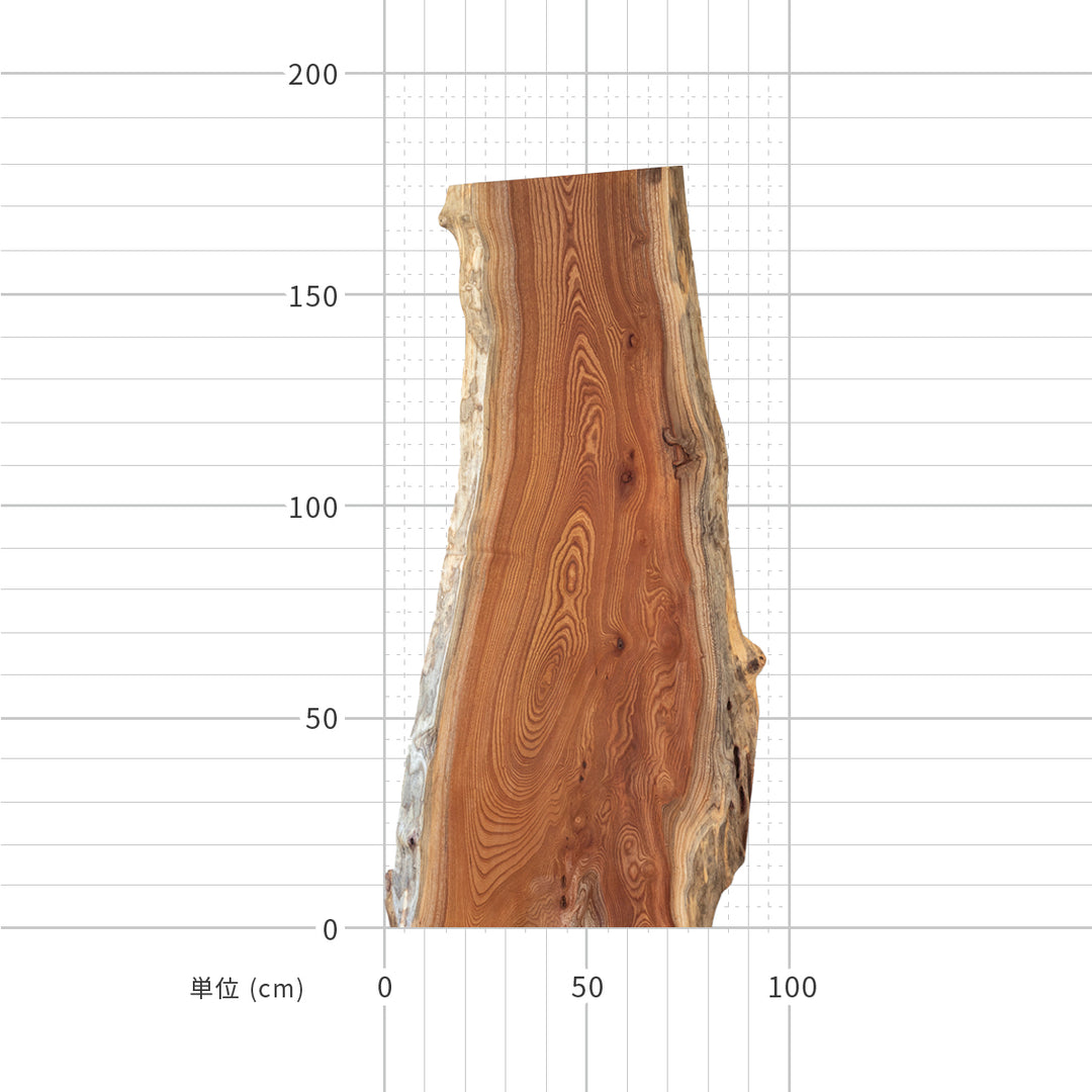 一枚板 / ケヤキ #0020 1800 × 490 ~ 750 mm – KANADEMONO