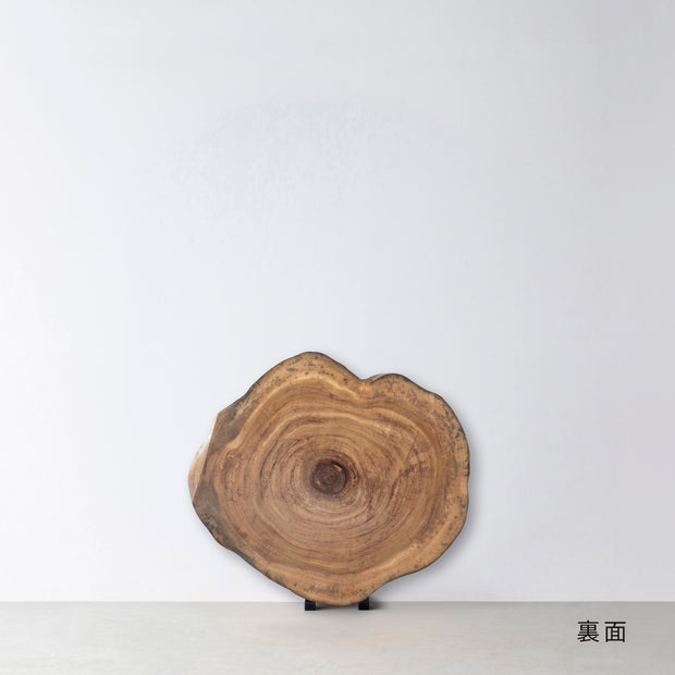 一枚板 / クス #0034　1050 × 910 mm