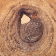 一枚板 / クス #0034　1050 × 910 mm