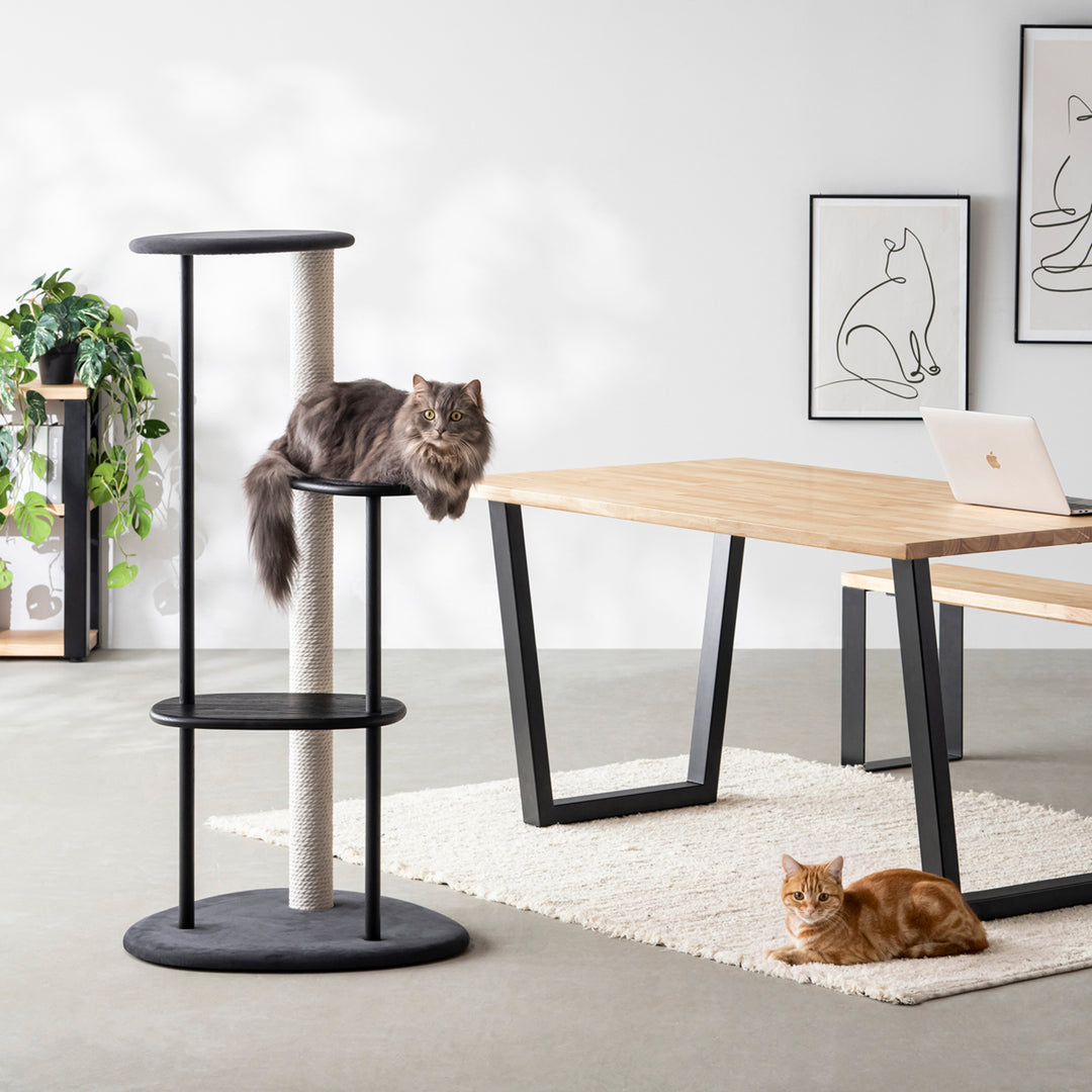 KARIMOKU CAT TREE キャットタワー カリモク KARIMOKU CAT TREE