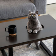Kanademonoのラバーウッドブラックブラウン天板とブラックのアイアン脚で製作した、猫穴付きのローテーブル（使用イメージ）