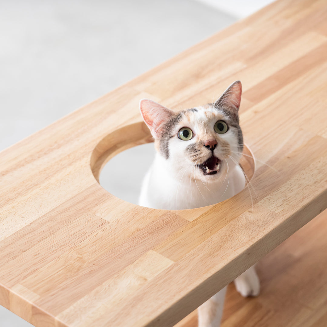 THE STORAGE SHELF 3段 / ラバーウッド ナチュラル × Black