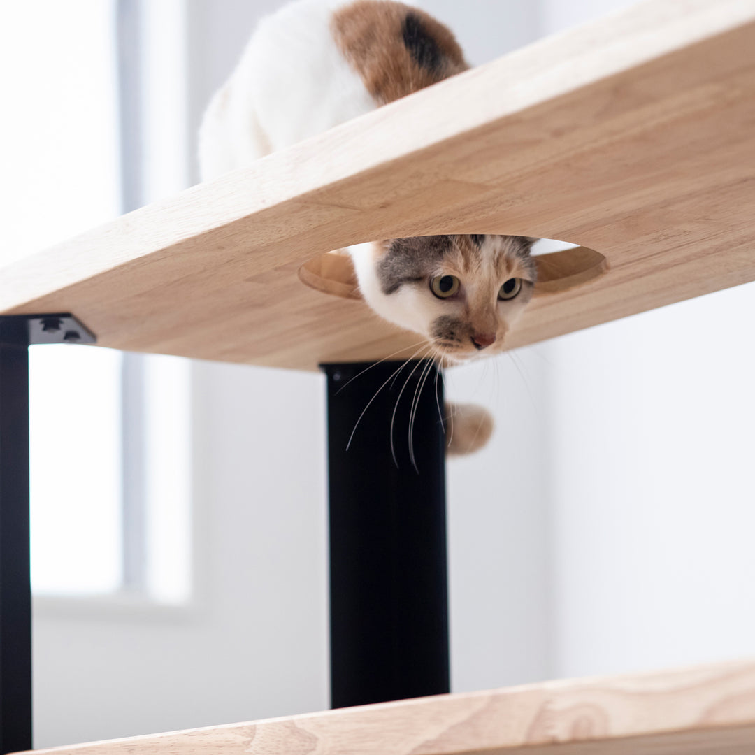 THE STORAGE SHELF 3段 / ラバーウッド ナチュラル × Black