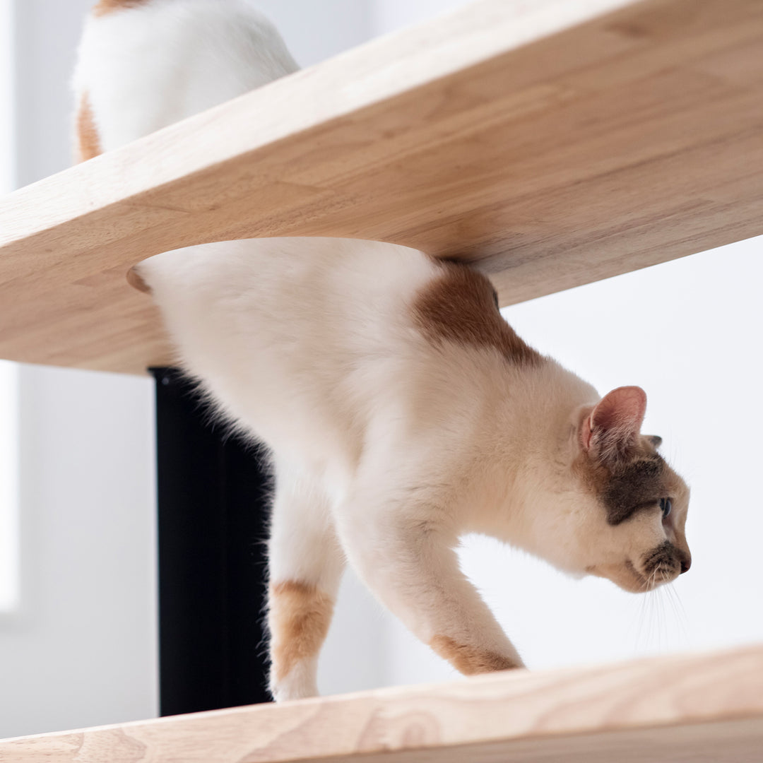 KANADEMONO　THE SHELF / ラバーウッド ナチュラル THE SHELF / ラバーウッド ナチュラル × White Steel – KANADEMONO