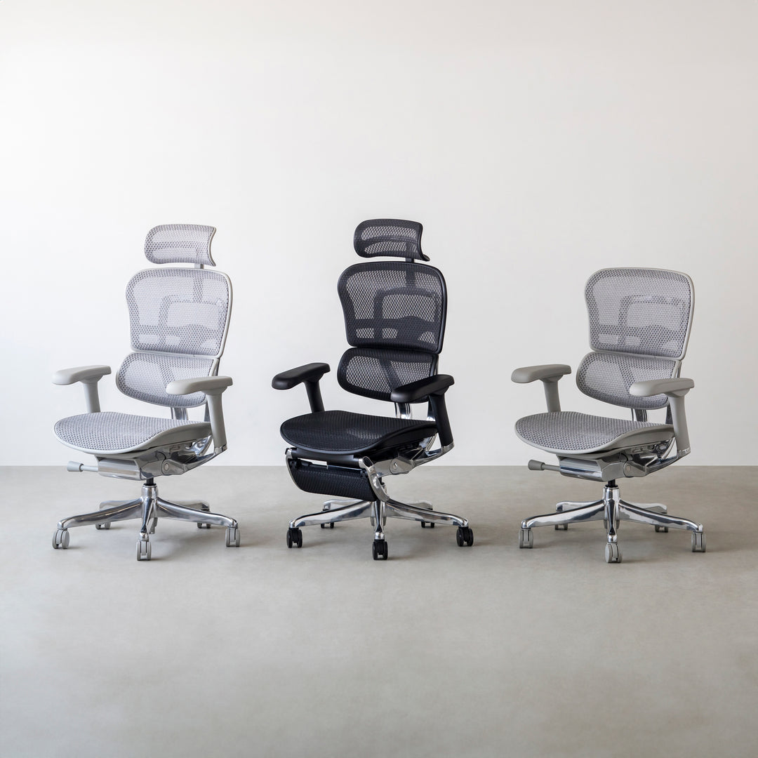 Ergohuman Pro2 エルゴヒューマン オフィスチェア ハイタイプ – KANADEMONO