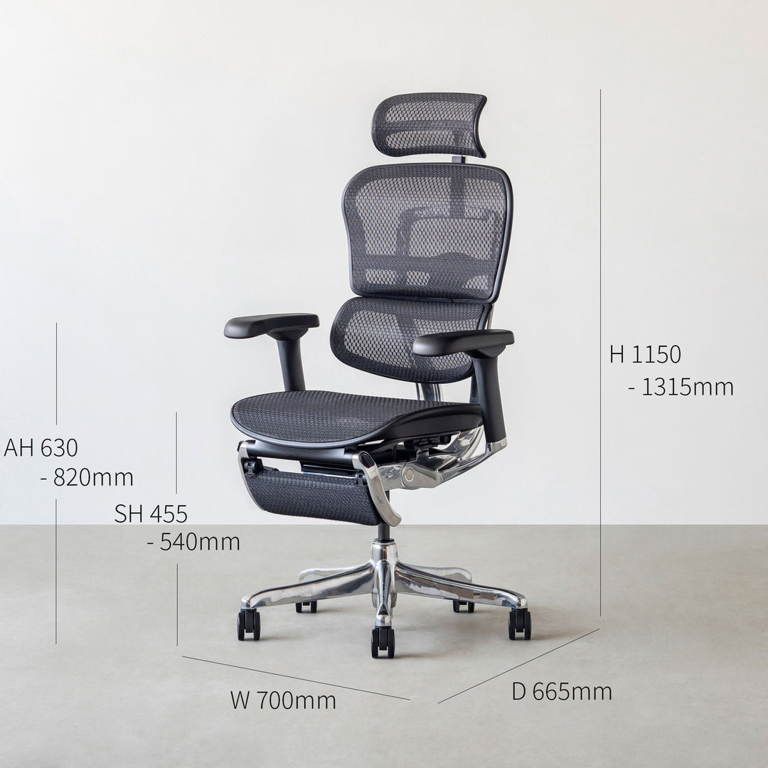 Ergohuman Pro2 Ottoman エルゴヒューマン オフィスチェア