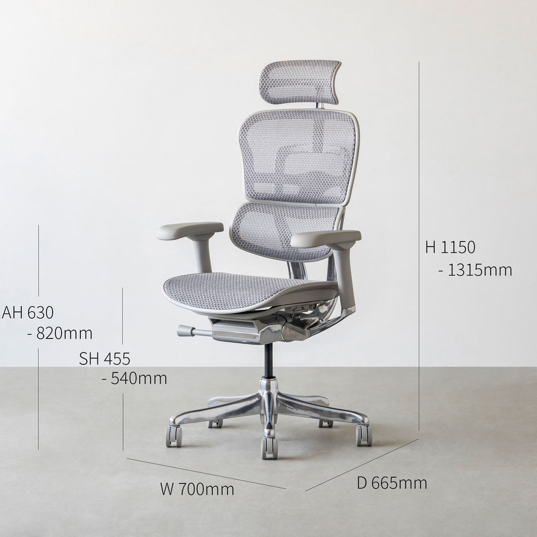 Ergohuman Pro2 エルゴヒューマン オフィスチェア ハイタイプ – KANADEMONO