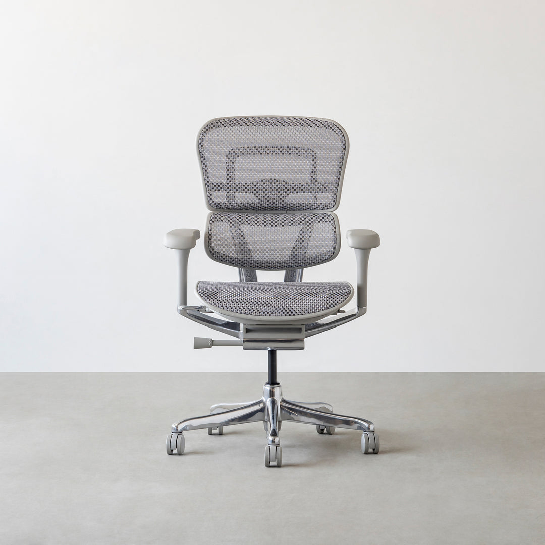 Ergohuman Pro2 エルゴヒューマン オフィスチェア ロータイプ – KANADEMONO