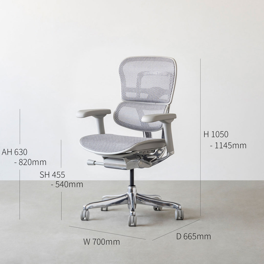 極美品 Ergohuman エルゴヒューマン ロータイプ 肘無し ハンガー付2 Ergohuman PRO2 Low | エルゴヒューマン公式サイト
