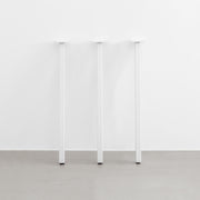 THE LEGS / 3 Pin タイプ × White Steel / 3本セット