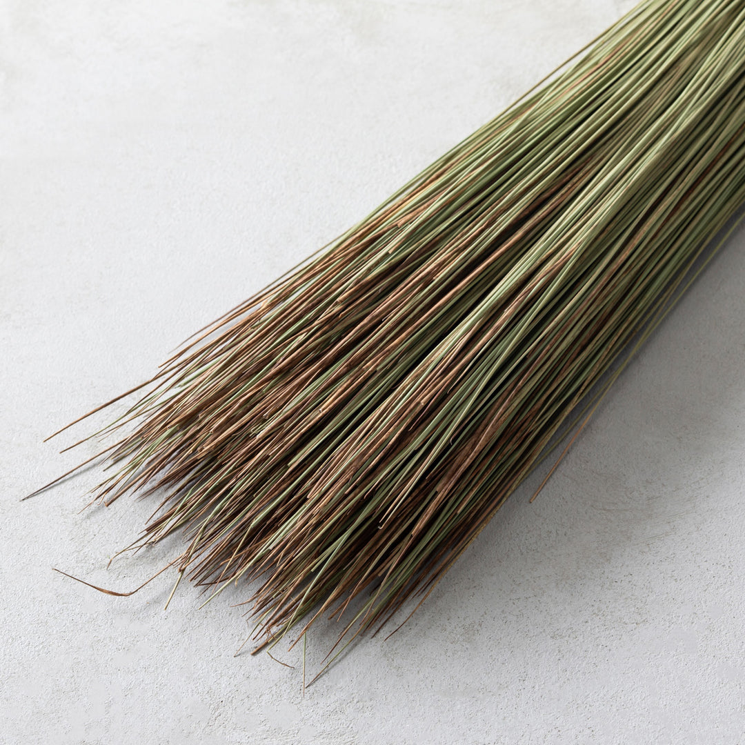 TATAMI NO MOTO い草をつかった インテリアグリーン – KANADEMONO