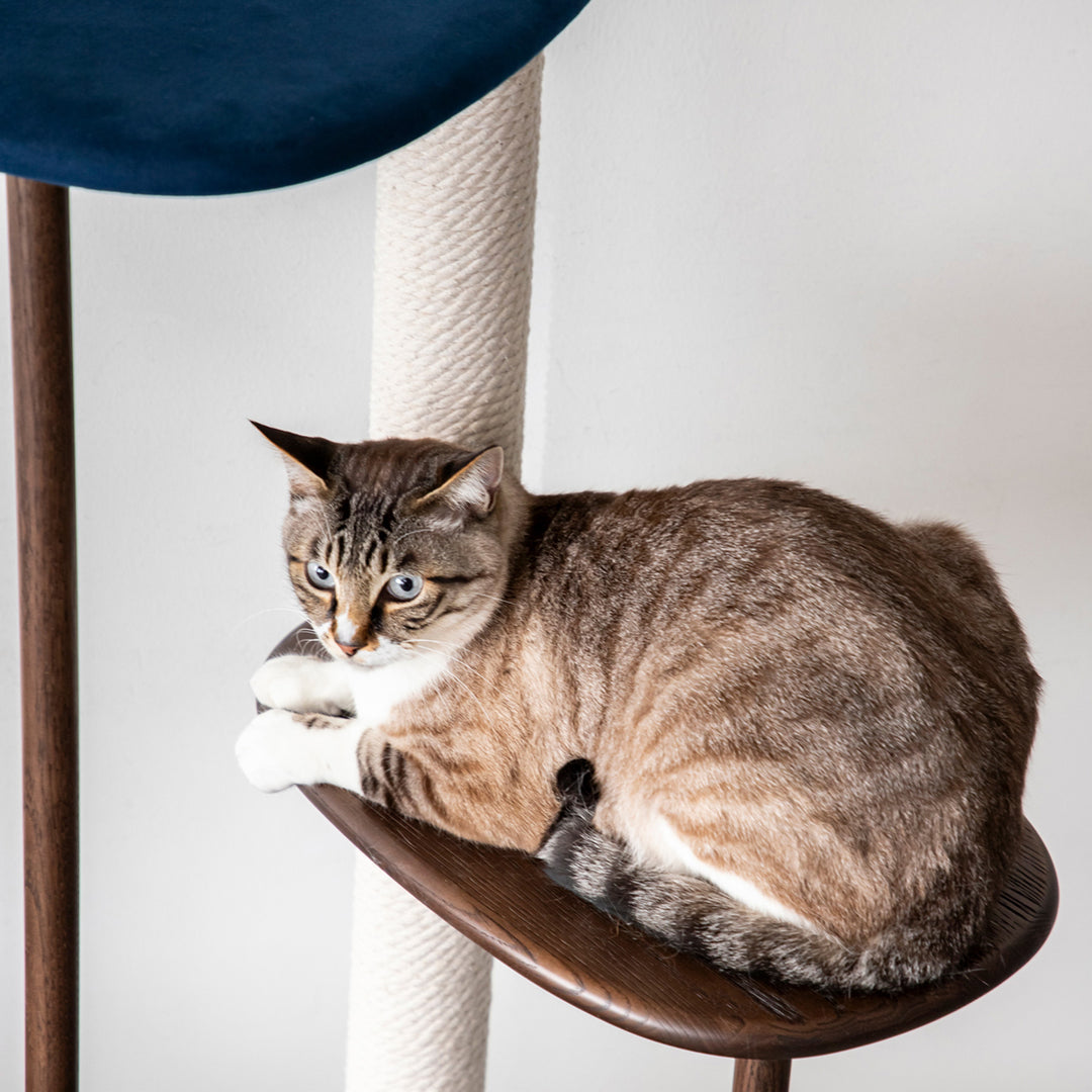 KARIMOKU CAT TREE – KANADEMONO
