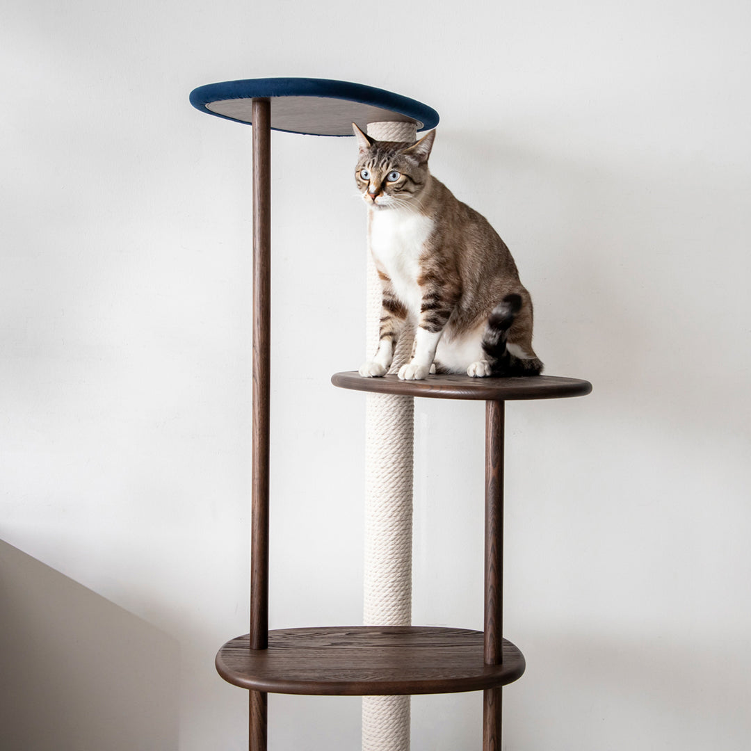 KARIMOKU CAT TREE キャットタワー カリモク Amazon | [カリモク家具] KARIMOKU CAT TREE キャットタワー