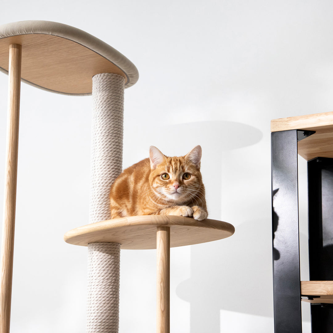 キャットタワー KARIMOKU CAT TREE Beige & sakura natural 51h61cGpAiL._UF894,1000_QL80_.jpg