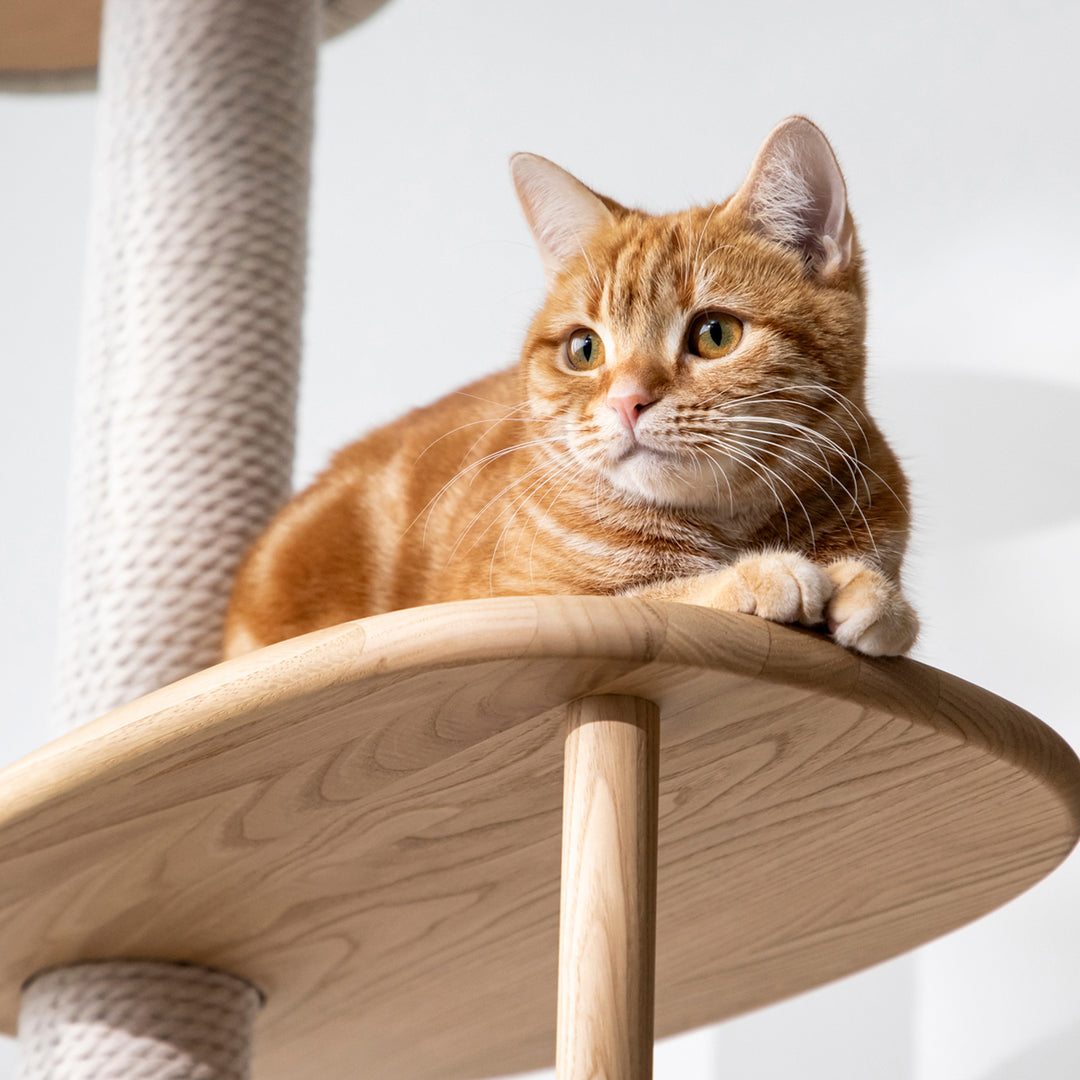KARIMOKU CAT TREE – KANADEMONO
