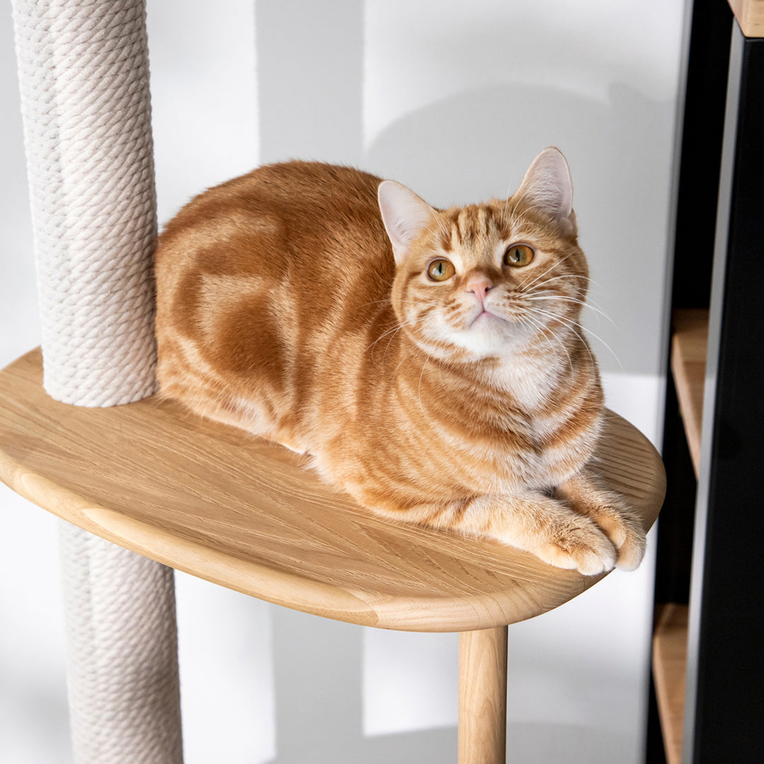 KARIMOKU CAT TREE – KANADEMONO