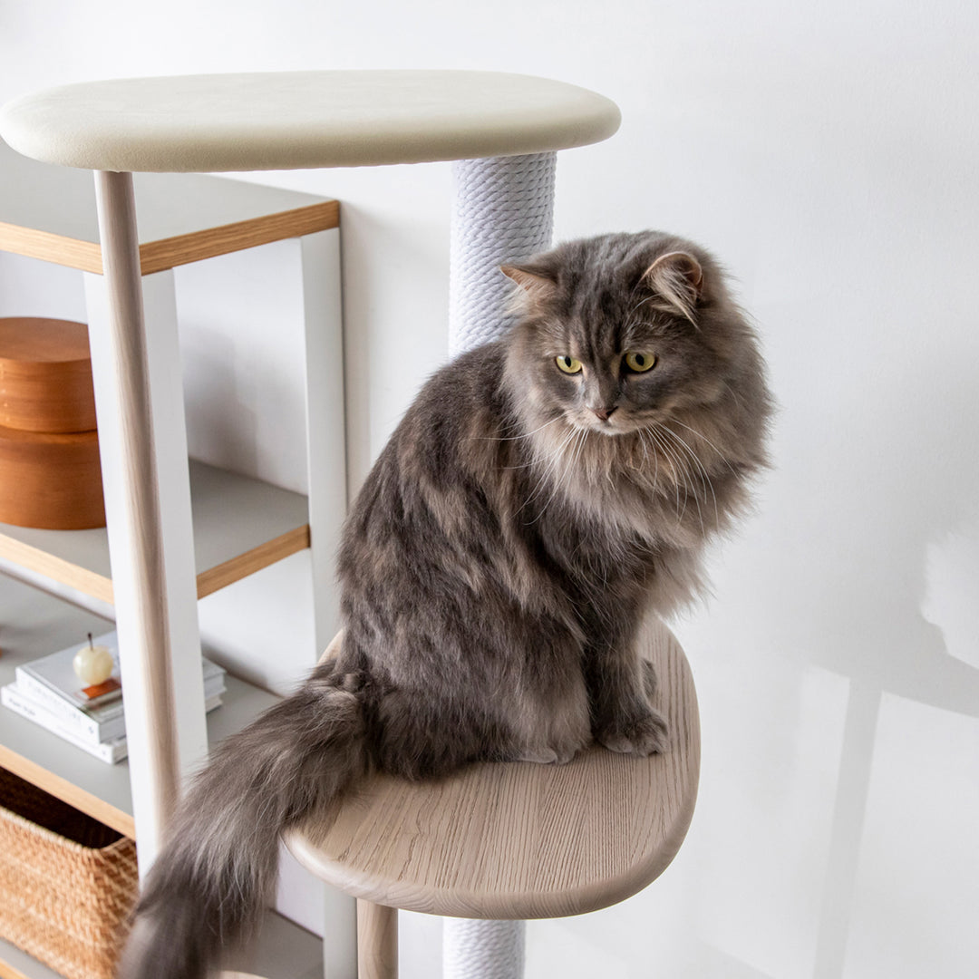 KARIMOKU CAT TREE – KANADEMONO